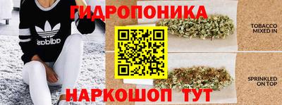 спайс Будённовск