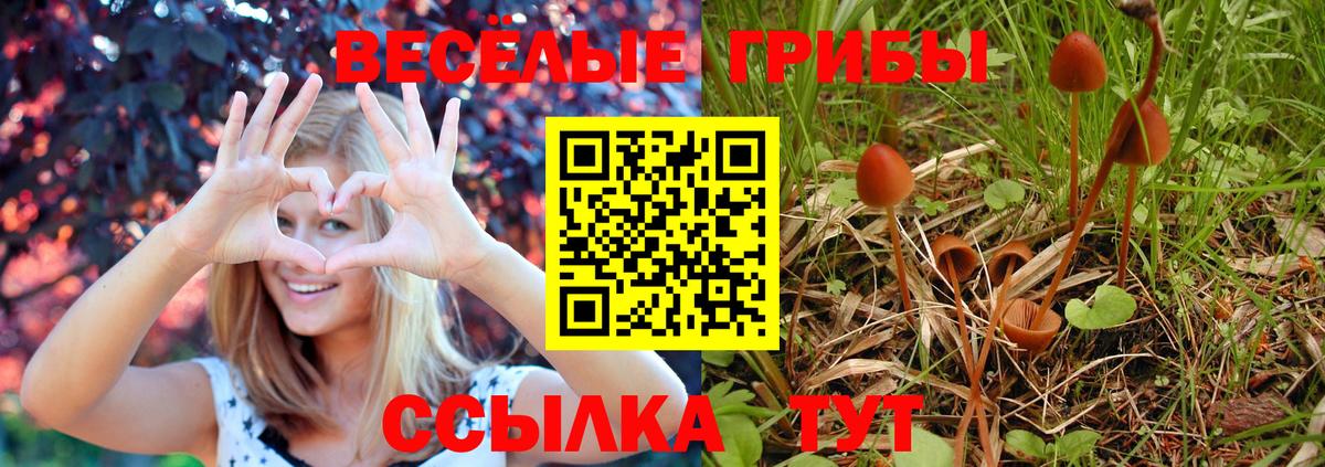 Галлюциногенные грибы прущие грибы Комсомольск-на-Амуре